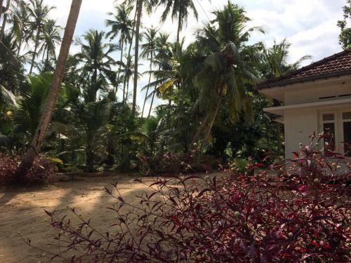 Bed & Breakfast School Headmaster's Bungalow