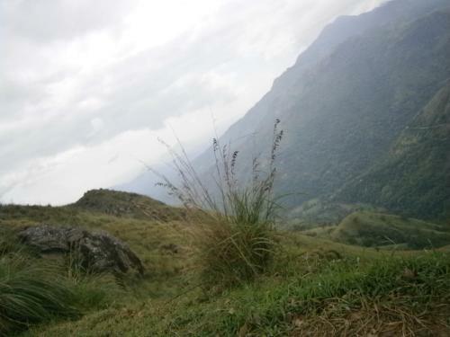 Lovely Paradise Homestay