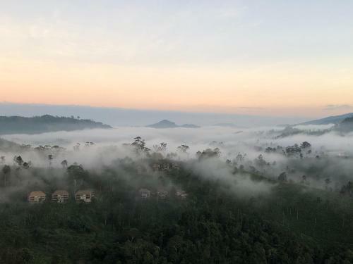 Lovely Paradise Homestay