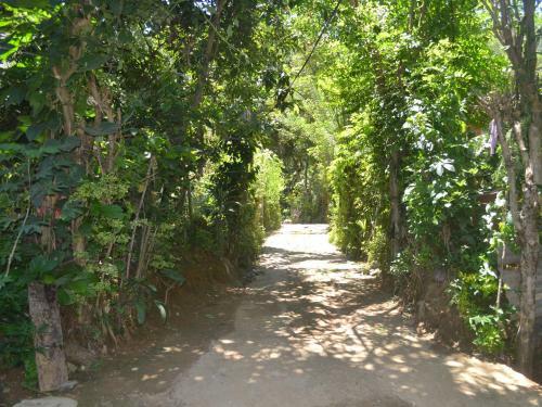 Bed & Breakfast Mali Homestay