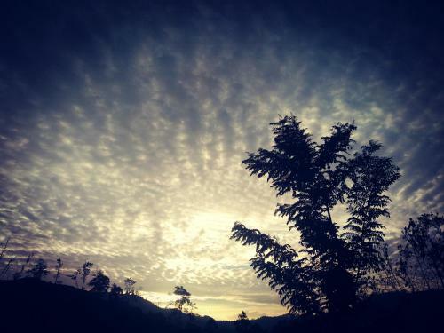 Cool View Homestay Ella