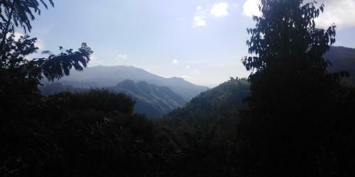 Bed & Breakfast Nile Green Inn