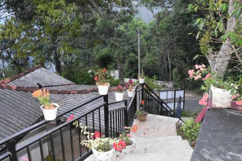 Baagie Homestay