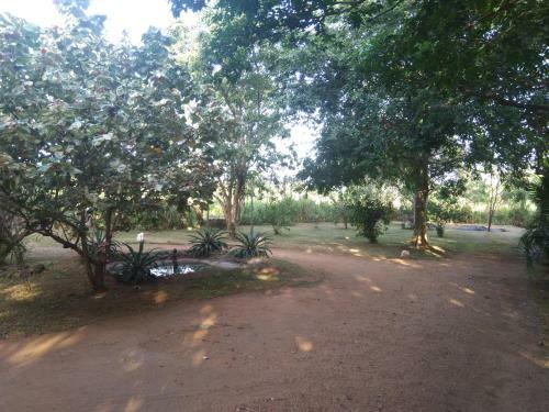 Habarana Bed And Breakfast