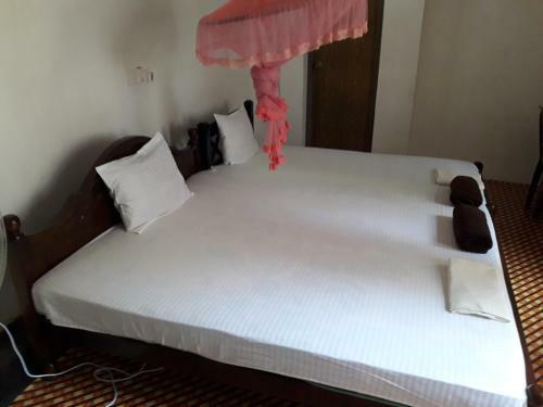 Hostal Diluna Guest House