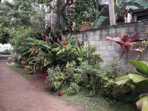 Hostal Diluna Guest House
