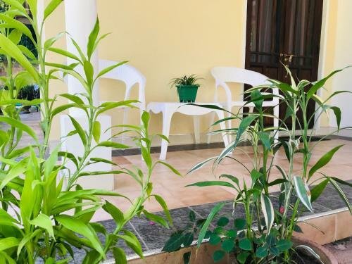 Unique Villa
