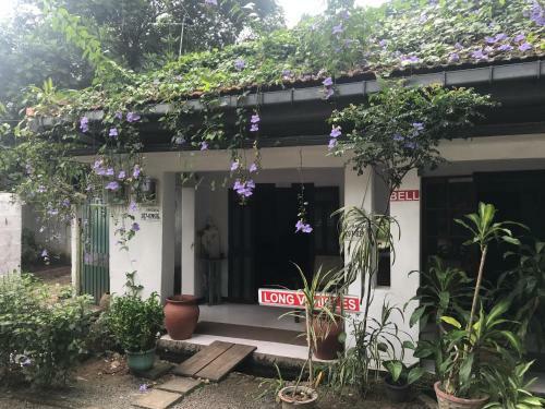 Hostal Walawwa