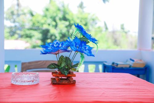 Bed & Breakfast Sajana Ocean Hill
