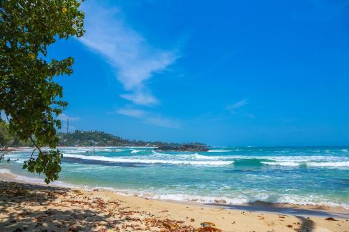 Bed & Breakfast Sajana Ocean Hill