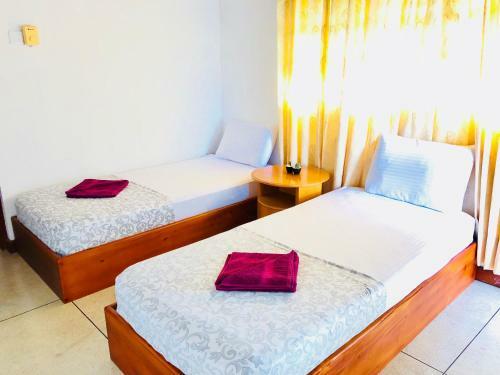 Cmb Trip N Chill Hostel
