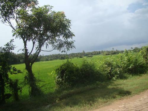 Hostal Nildiya Lanka Holiday Resort