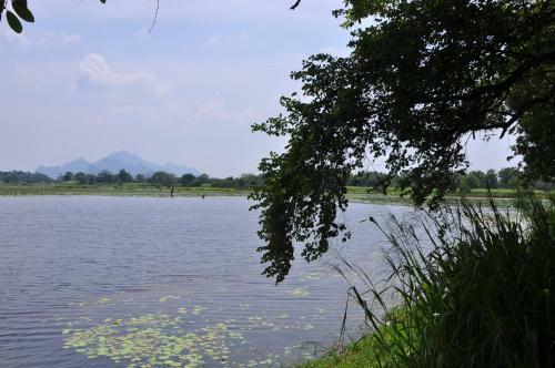 Bed & Breakfast Wish Prabha Lake View Lodge
