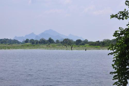 Bed & Breakfast Wish Prabha Lake View Lodge