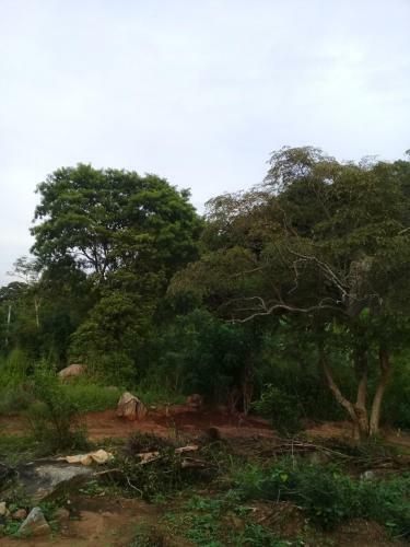 Bed & Breakfast Wish Prabha Lake View Lodge