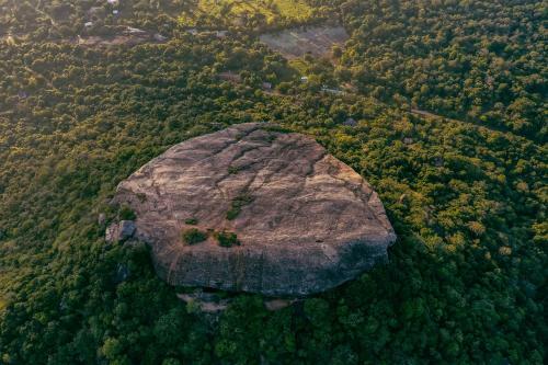 Hotel Sigiriya King's Resort