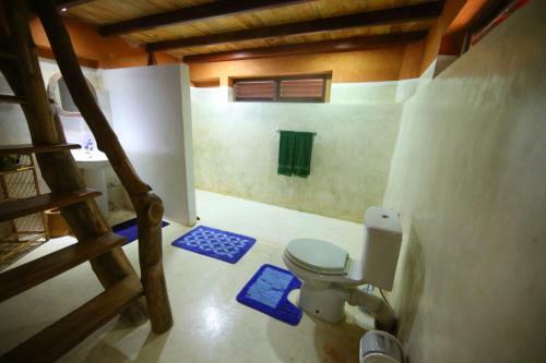 Hotel Mangrove Beach Cabana
