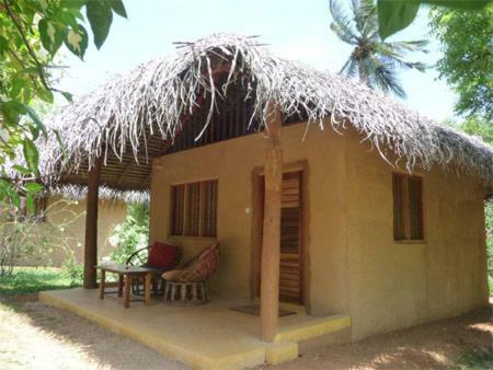 Hotel Mangrove Beach Cabana