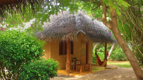 Hotel Mangrove Beach Cabana