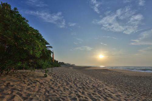 Hotel Mangrove Beach Cabana