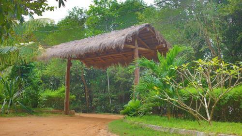 Hotel Mangrove Beach Cabana
