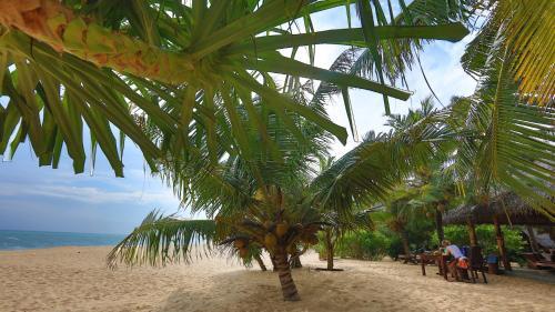 Hotel Mangrove Beach Cabana