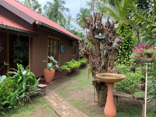 Kadella Eco Lodge