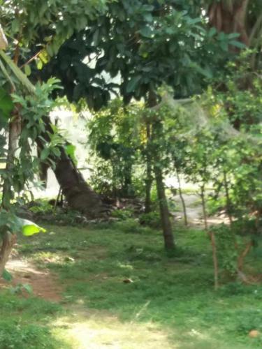 Ishitha Homestay