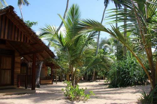 Hotel Shiva's Beach Cabanas