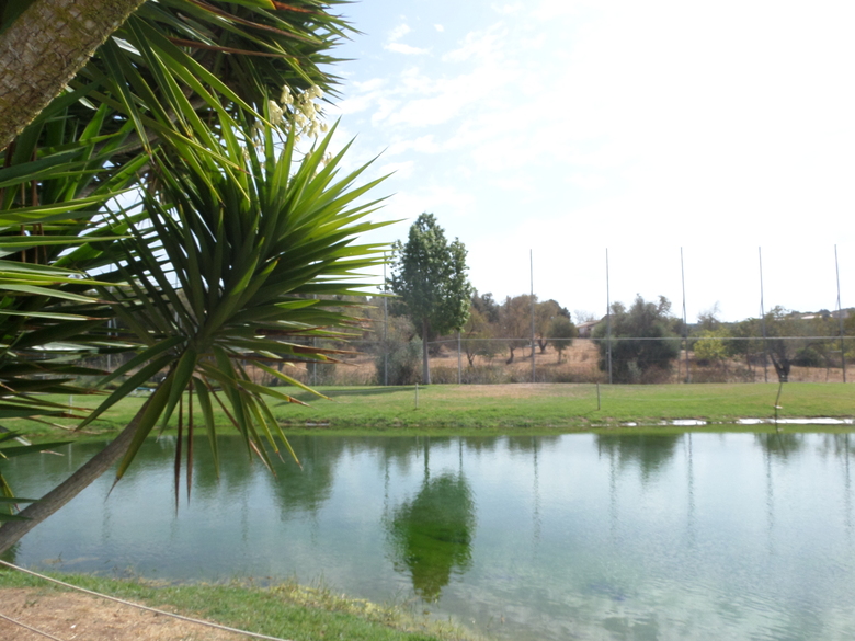 Hotel Palm Oasis Alvor