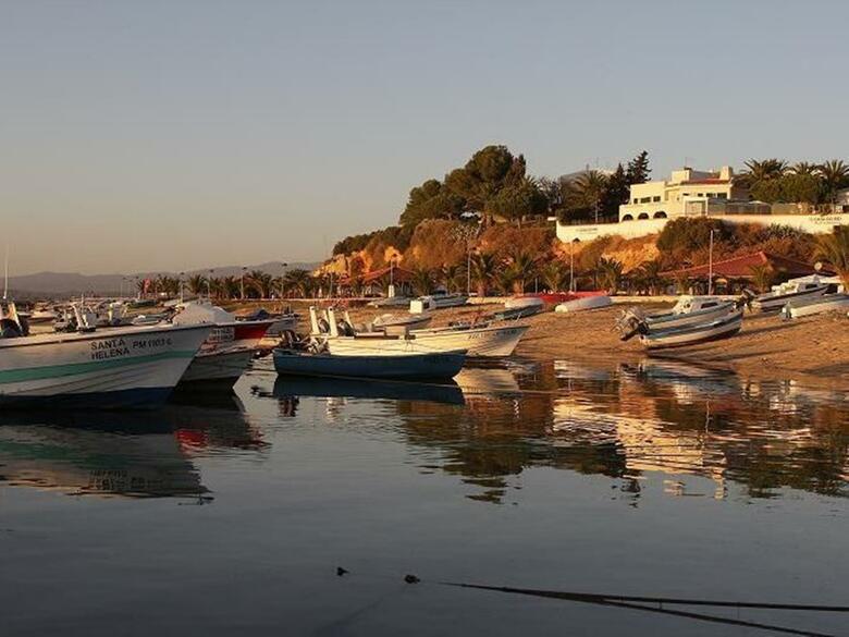 Hotel Palm Oasis Alvor