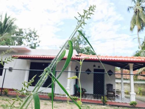 Villa 121