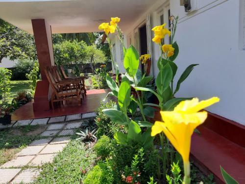 Hostal Glorious Villa