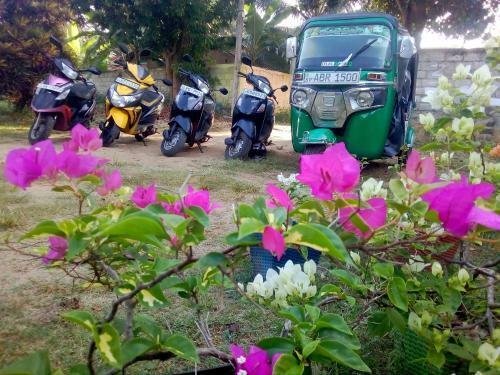 Saja Homestay