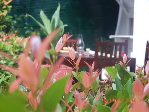 Bed & Breakfast Ayu Guest & Spa