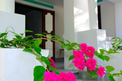 Bed & Breakfast Ayu Guest & Spa