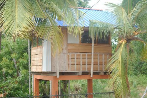 Hostal Sewendra Guest