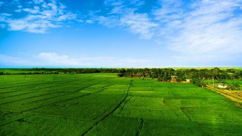 Hotel Avonil Resort Yala