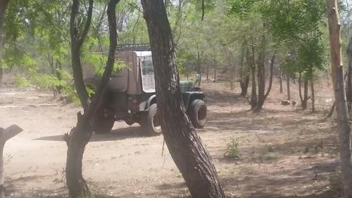 Yala Hideaway