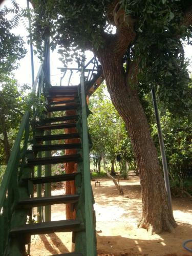 Yala Tree House Safari