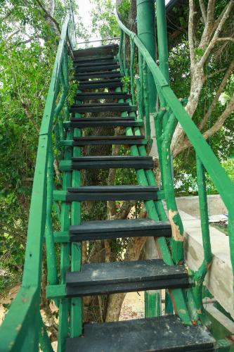 Yala Tree House Safari
