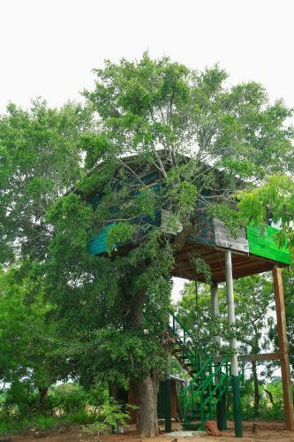 Yala Tree House Safari