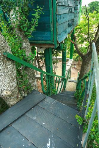 Yala Tree House Safari