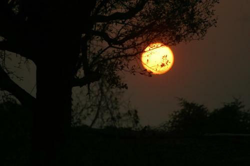 Yala Tree House Safari