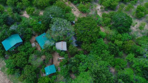 Yala Tree House Safari