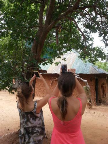 Yala Tree House Safari