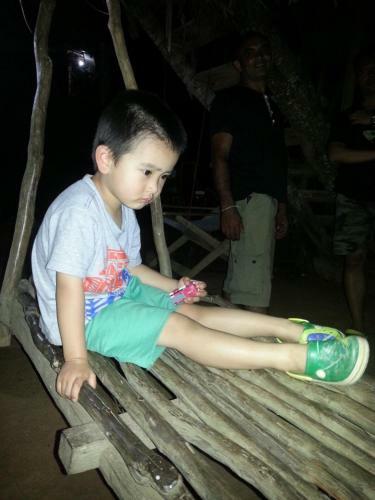 Yala Tree House Safari