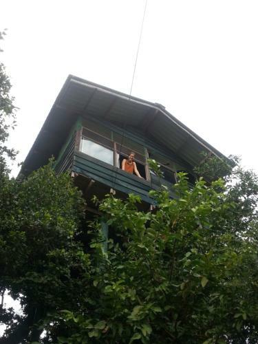 Yala Tree House Safari