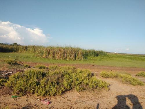 Vinu Holiday House