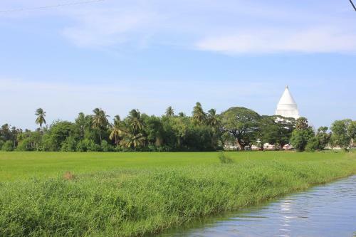 Bed & Breakfast Leisure Villa